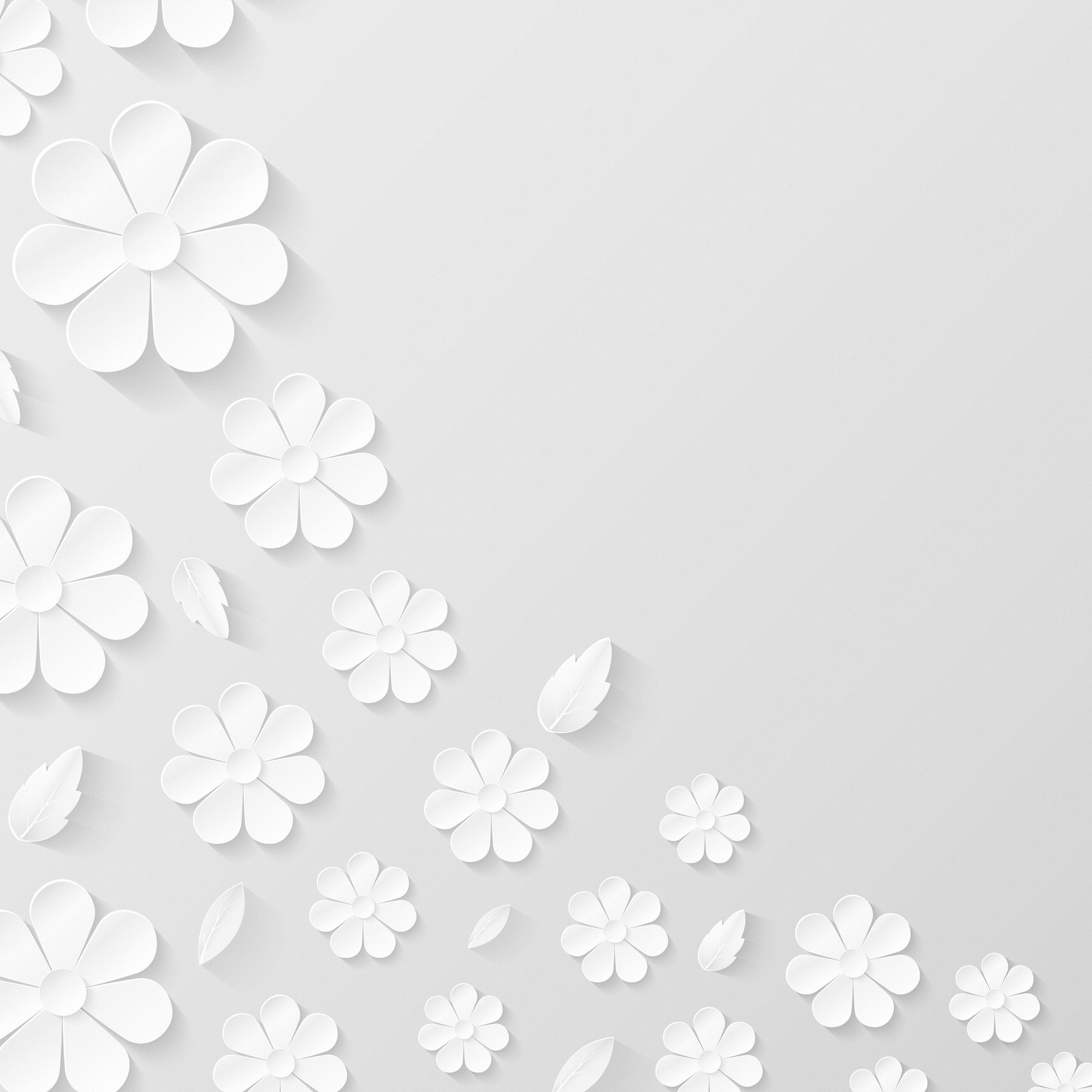 3D White Flowers Background
